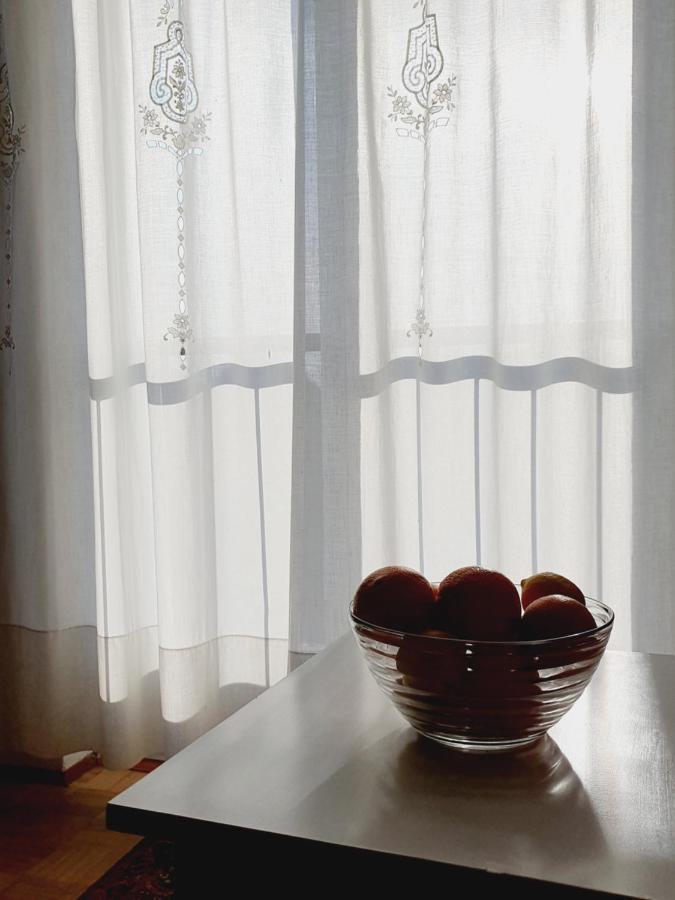 Apartment Gracijela Poreč Zewnętrze zdjęcie