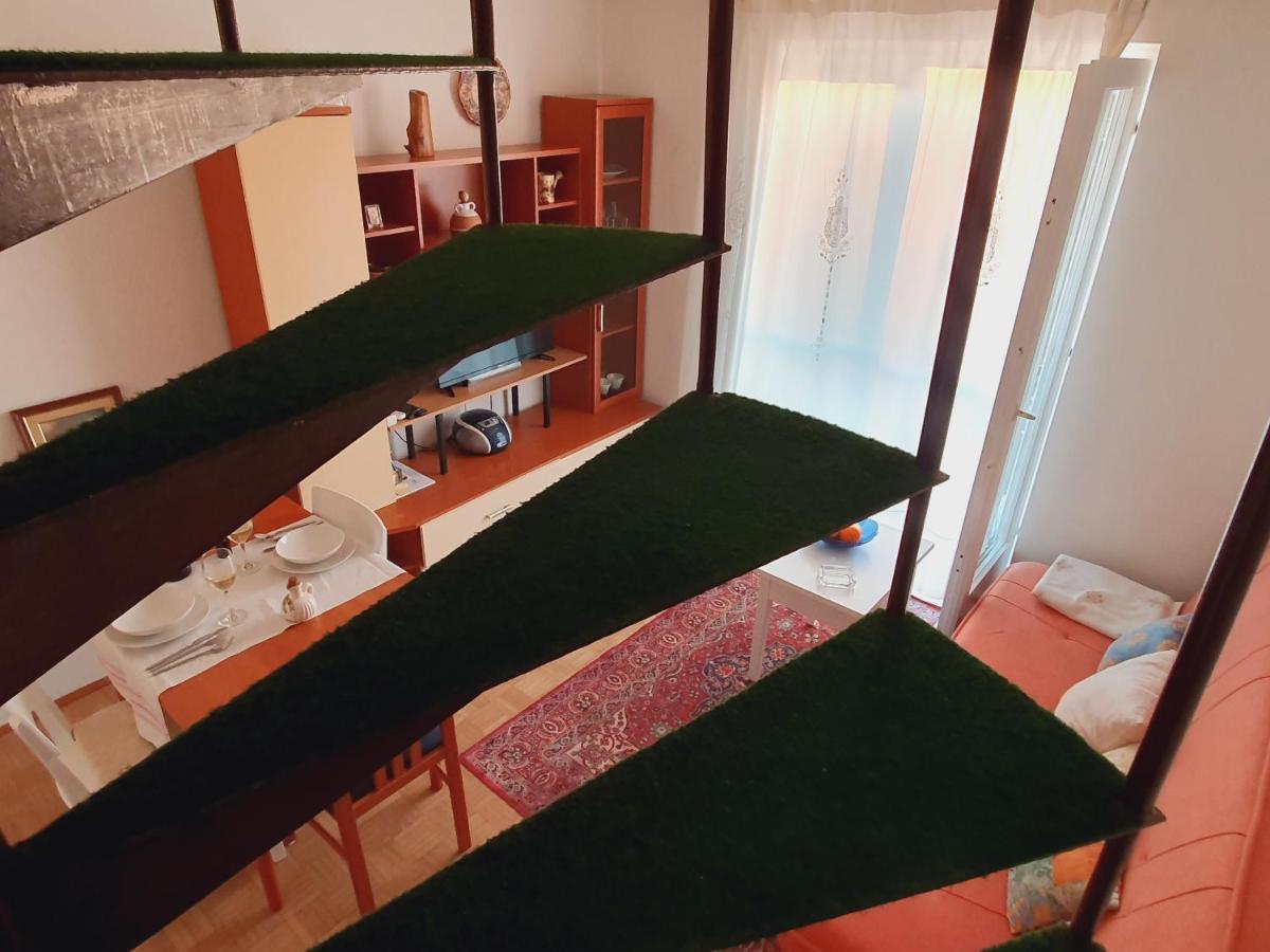 Apartment Gracijela Poreč Zewnętrze zdjęcie